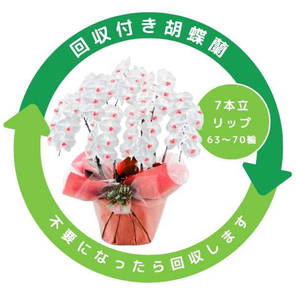 դեĳ (å) 7Ω 6370ذʾ