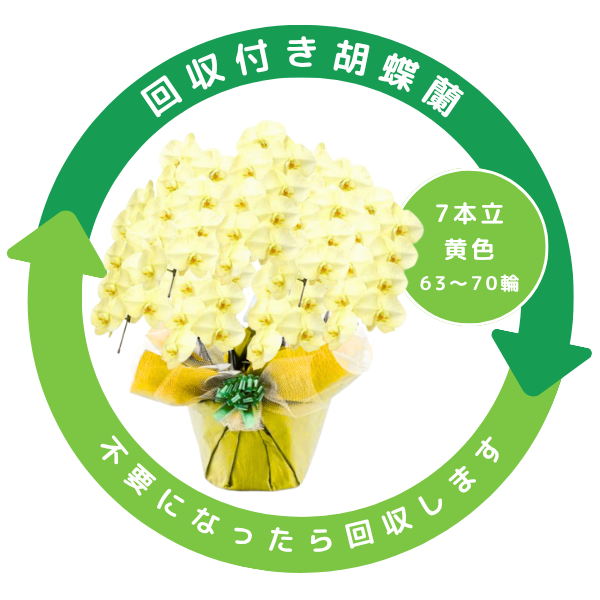 դեĳ  7Ω 6370ذʾ