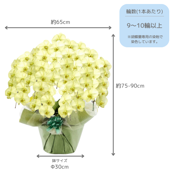 դեĳ ⥹꡼ 7Ω 6370ذʾ 2