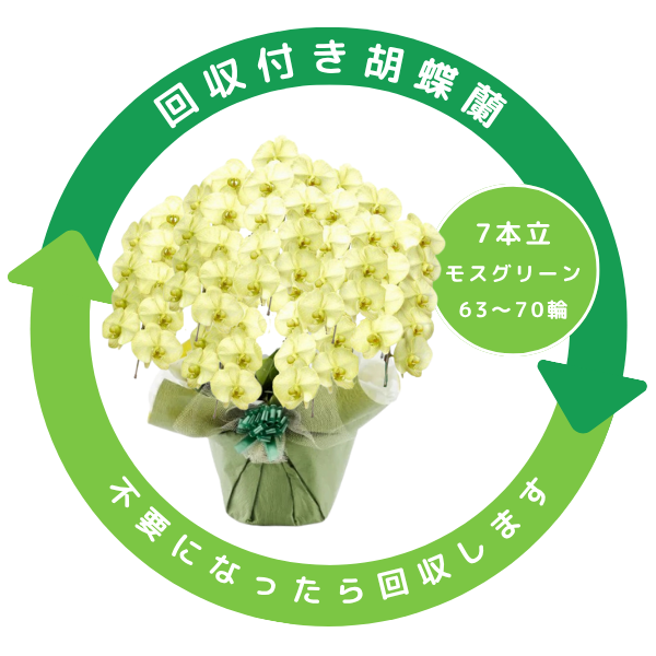 դեĳ ⥹꡼ 7Ω 6370ذʾ