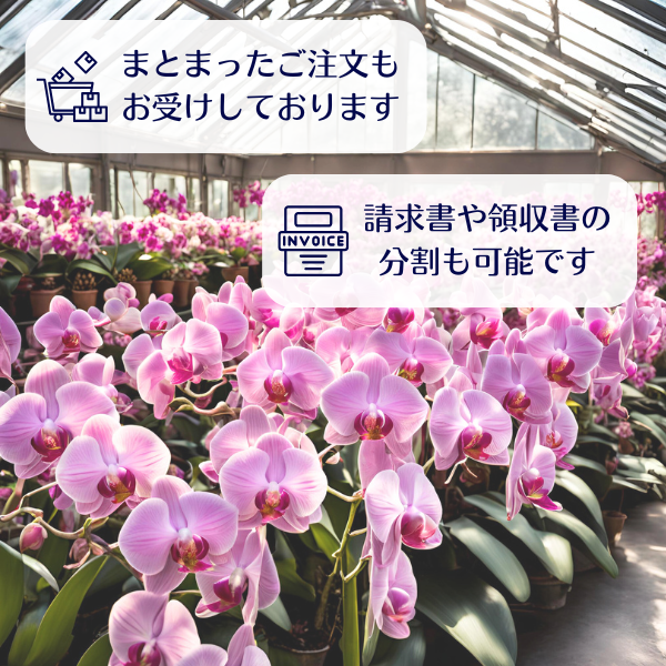 դեĳ ٥ 7Ω 6370ذʾ 12