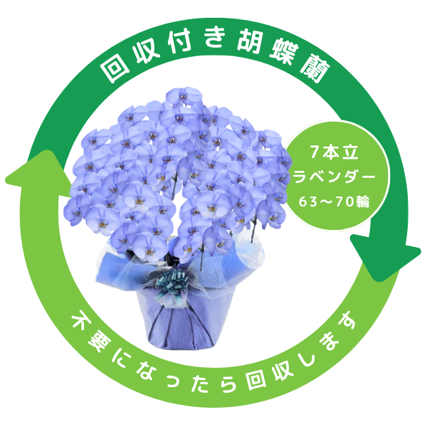 դեĳ ٥ 7Ω 6370ذʾ