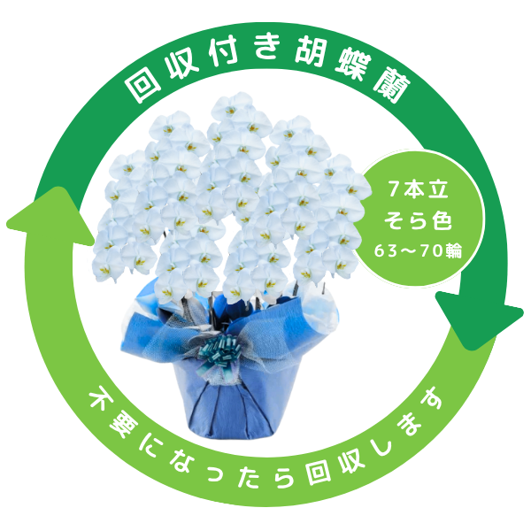 դեĳ 鿧 7Ω 6370ذʾ