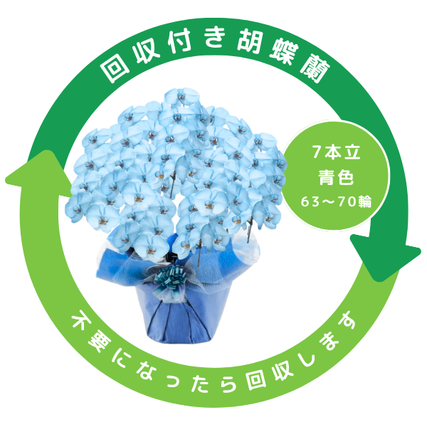 դեĳ Ŀ(֥롼) 7Ω 6370ذʾ