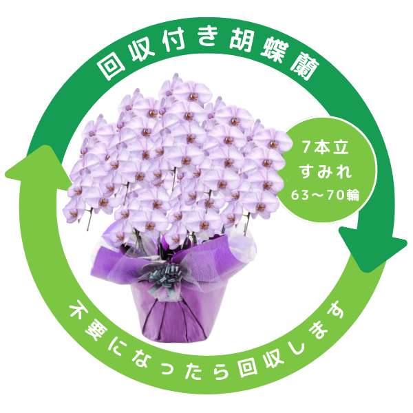 դեĳ ߤ 7Ω 6370ذʾ