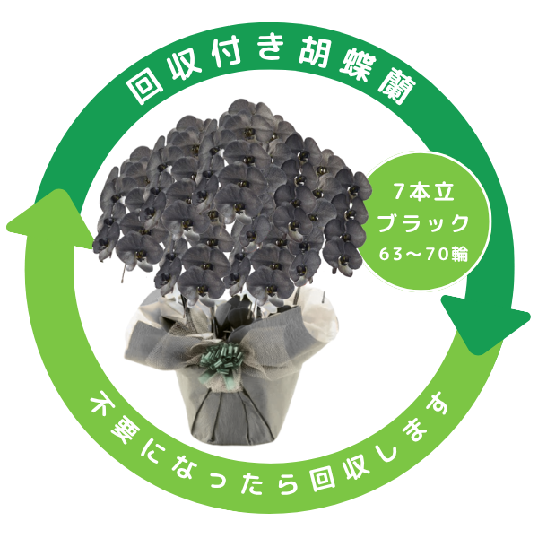 դեĳ  7Ω 6370ذʾ