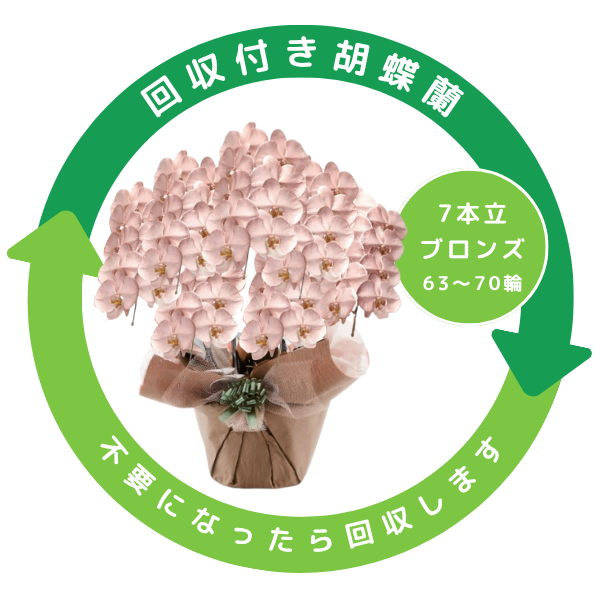 դեĳ ֥ 7Ω 6370ذʾ