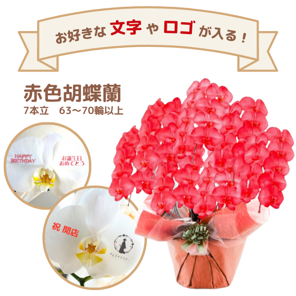 å եĳ 7Ω ֿ 6370ذʾ(ΤƤȭ)