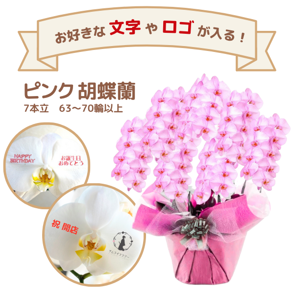 å եĳ 7Ω  6370ذʾ(ΤƤȭ)