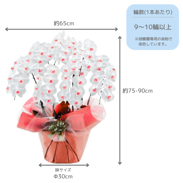 å եĳ 7Ω (å) 6370ذʾ(ΤƤȭ) 2