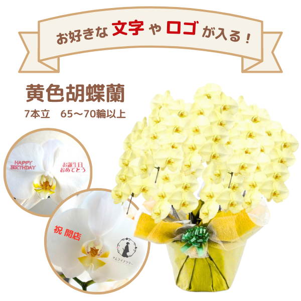 å եĳ 7Ω  6370ذʾ(ΤƤȭ)