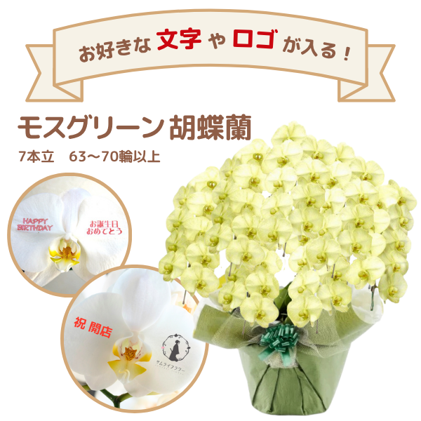 å եĳ 7Ω ⥹꡼ 6370ذʾ(ΤƤȭ)