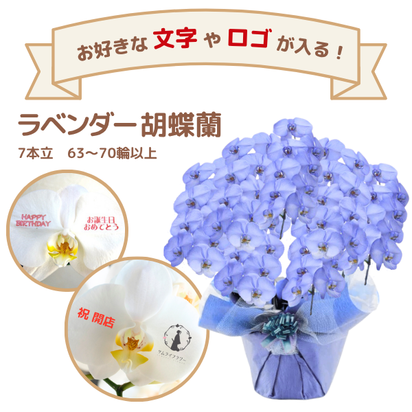 å եĳ 7Ω ٥ 6370ذʾ(ΤƤȭ)