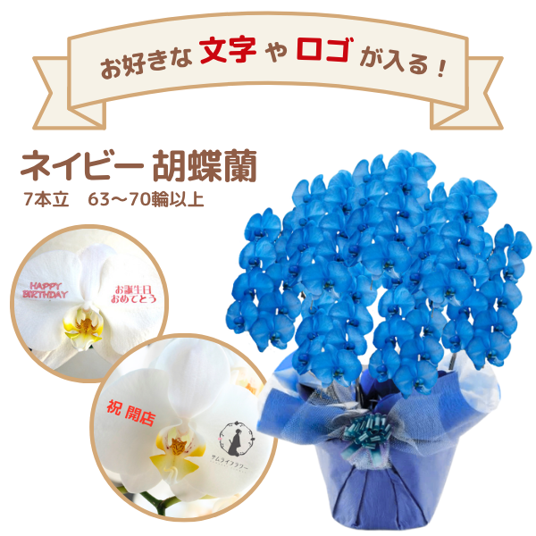 å եĳ 7Ω ͥӡ 6370ذʾ(ΤƤȭ)