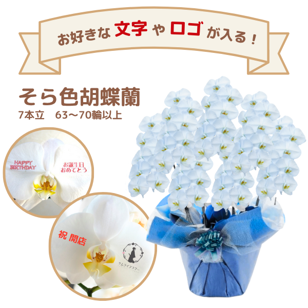 å եĳ 7Ω 鿧 6370ذʾ(ΤƤȭ)