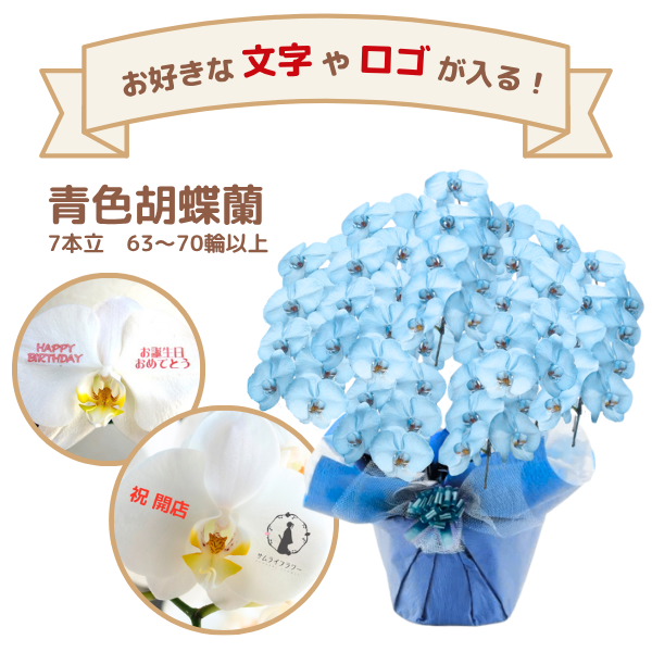 å եĳ 7Ω Ŀ(֥롼) 6370ذʾ(ΤƤȭ)