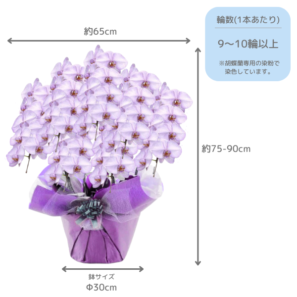 å եĳ 7Ω ߤ 6370ذʾ(ΤƤȭ) 2