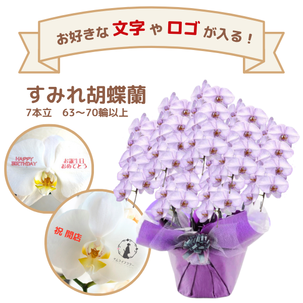 å եĳ 7Ω ߤ 6370ذʾ(ΤƤȭ)