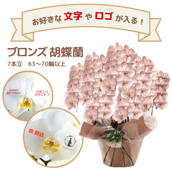 å եĳ 7Ω ֥ 6370ذʾ(ΤƤȭ)