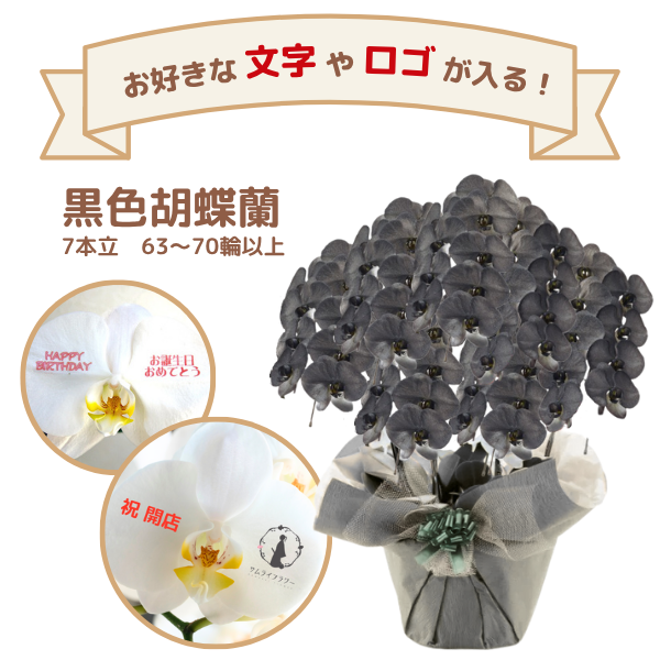 å եĳ 7Ω  6370ذʾ(ΤƤȭ)