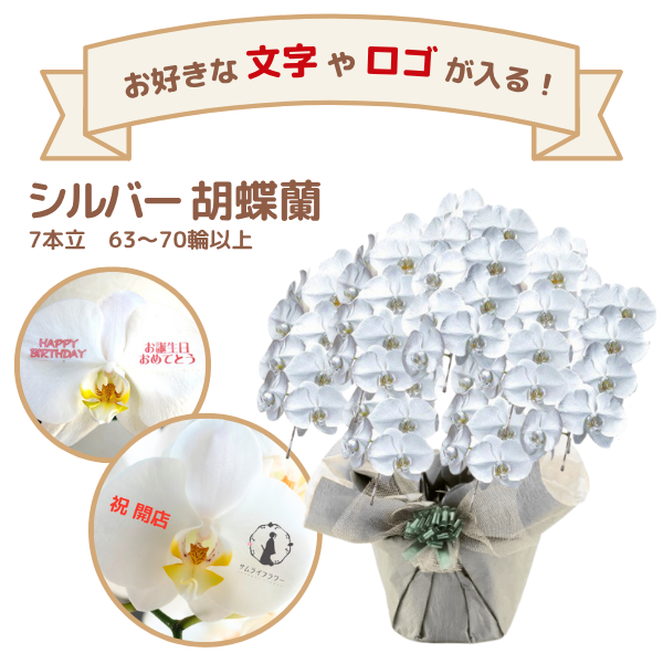 å եĳ 7Ω С 6370ذʾ(ΤƤȭ)