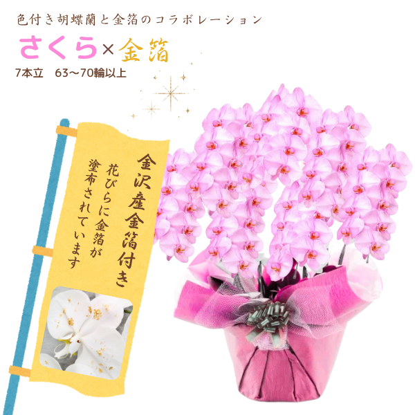 եĳ  7Ω 6370ذʾ墨դ