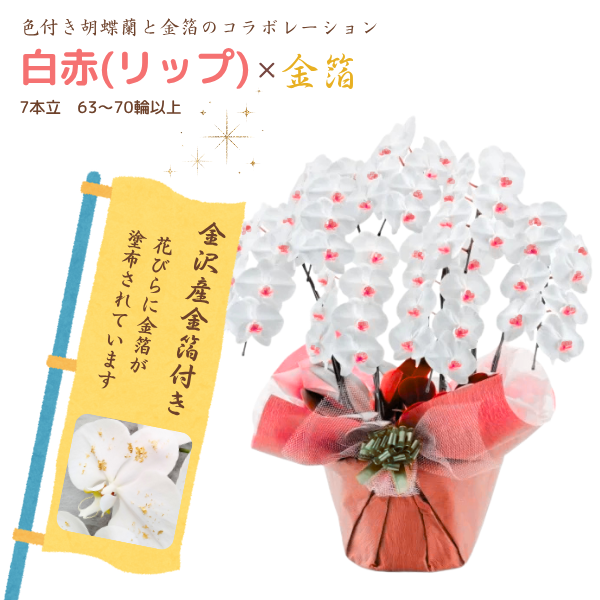 եĳ (å) 7Ω 6370ذʾ墨դ