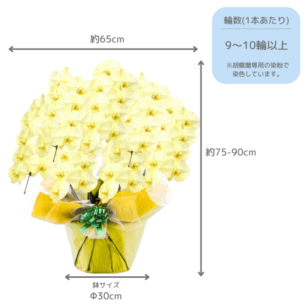 եĳ  7Ω 6370ذʾ墨դ 2