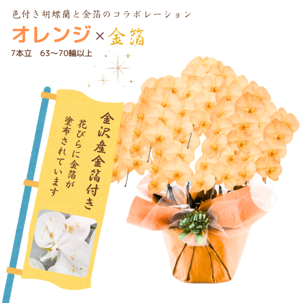 եĳ  7Ω 6370ذʾ墨դ