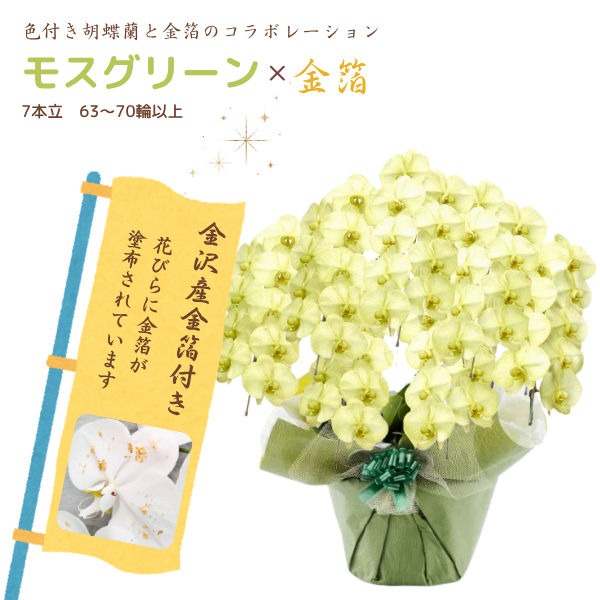 եĳ ⥹꡼ 7Ω 6370ذʾ墨դ