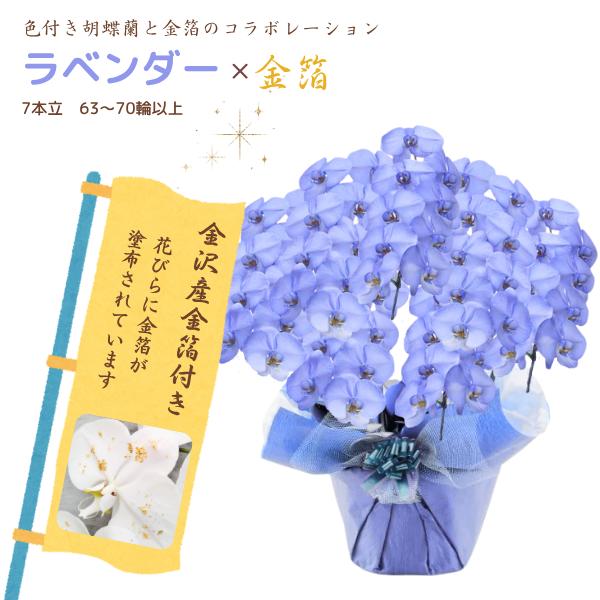 եĳ ٥ 7Ω 6370ذʾ墨դ