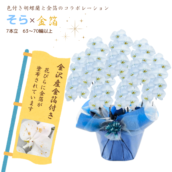 եĳ 鿧 7Ω 6370ذʾ墨դ