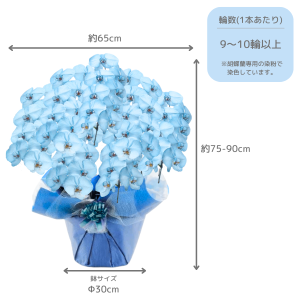 եĳ Ŀ(֥롼) 7Ω 6370ذʾ墨դ 2