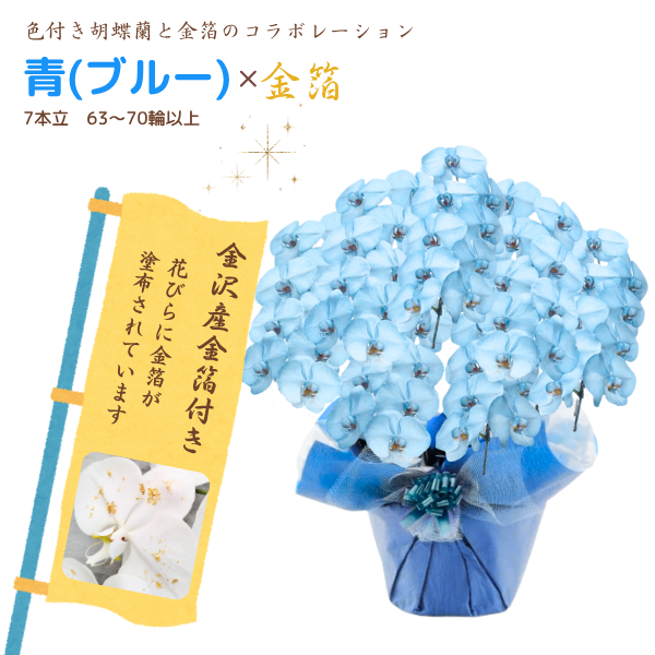 եĳ Ŀ(֥롼) 7Ω 6370ذʾ墨դ