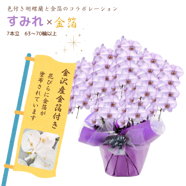 եĳ ߤ 7Ω 6370ذʾ墨դ