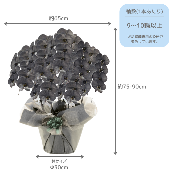 եĳ  7Ω 6370ذʾ墨դ 2