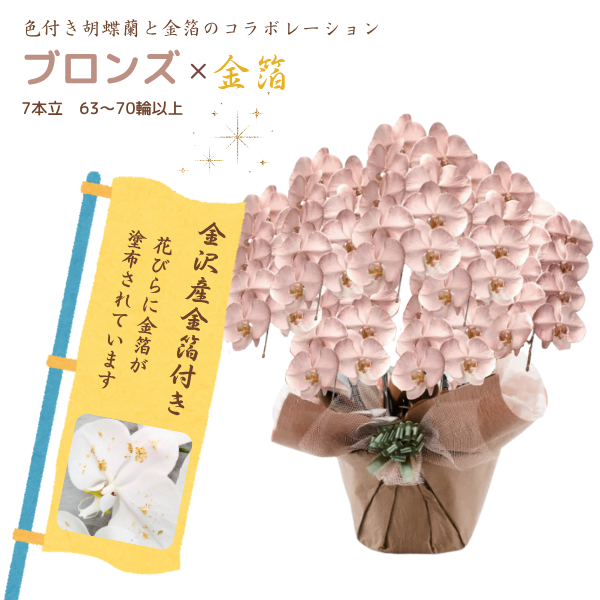 եĳ ֥ 7Ω 6370ذʾ墨դ