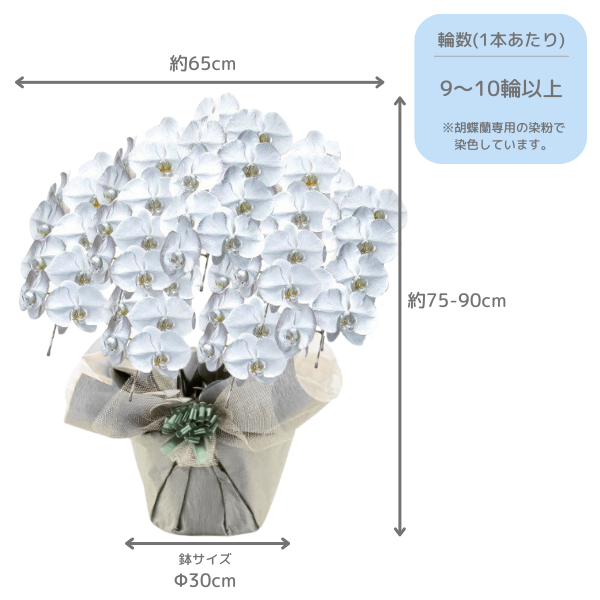 եĳ С 7Ω 6370ذʾ墨դ 2