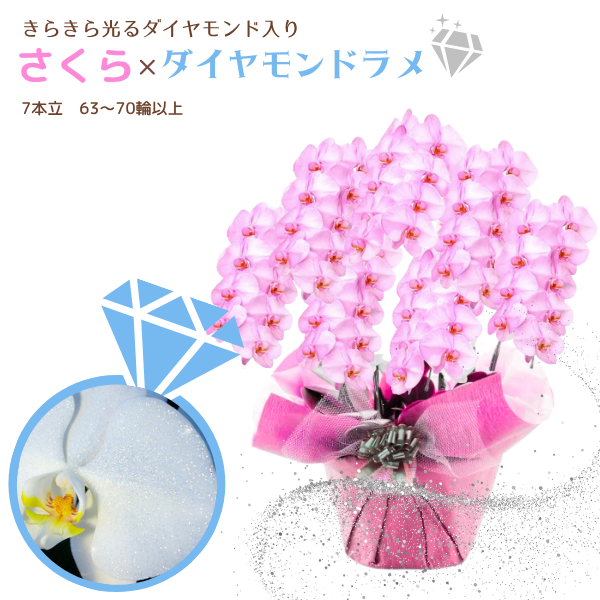 եĳ  7Ω 6370ذʾ墨դ