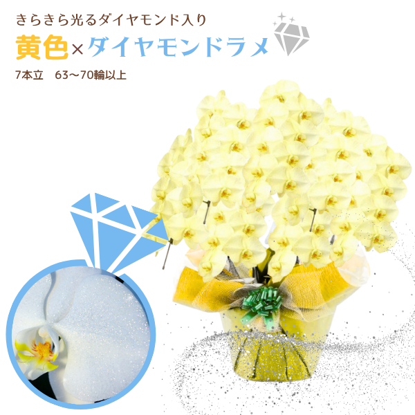 եĳ  7Ω 6370ذʾ墨դ