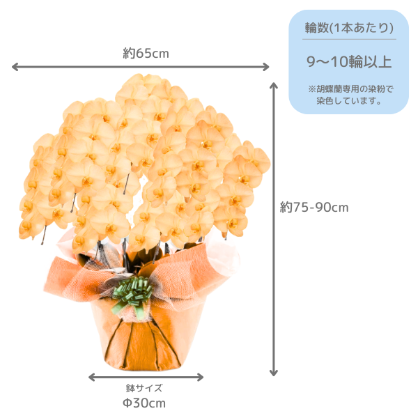 եĳ  7Ω 6370ذʾ墨դ 2