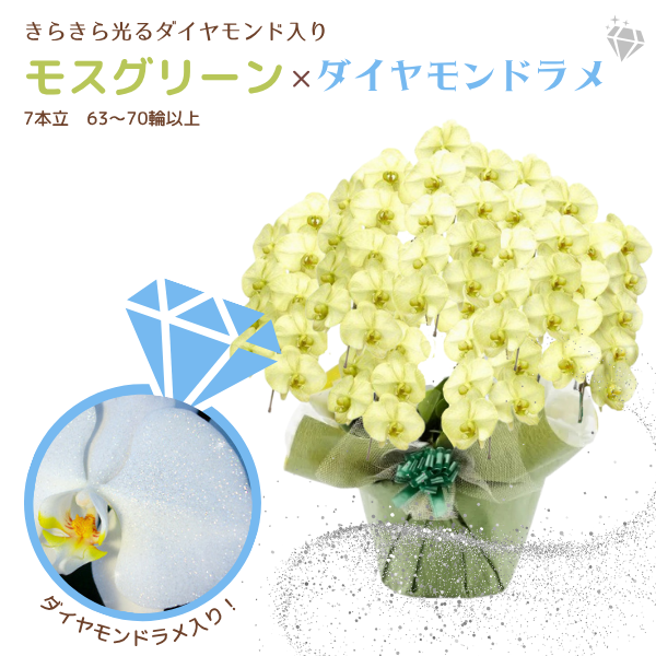 եĳ ⥹꡼ 7Ω 6370ذʾ墨դ