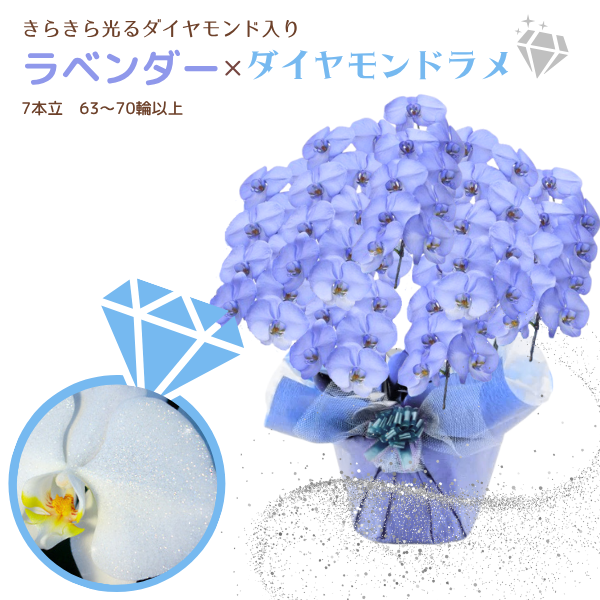 եĳ ٥ 7Ω 6370ذʾ墨դ