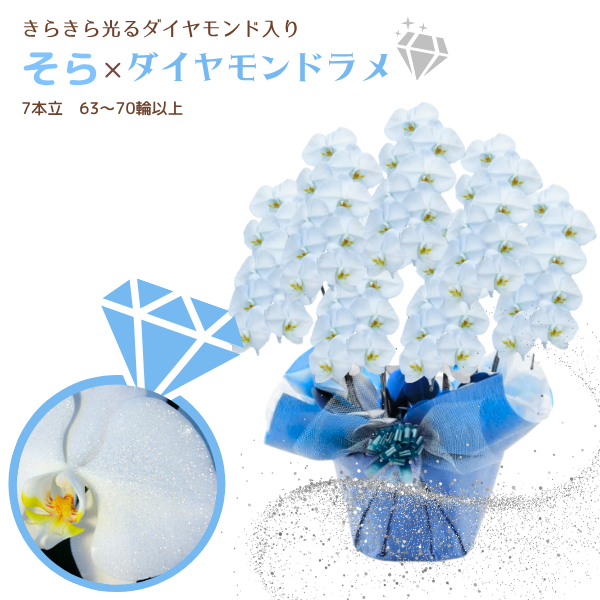 եĳ 鿧 7Ω 6370ذʾ墨դ