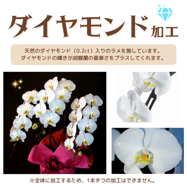 եĳ Ŀ(֥롼) 7Ω 6370ذʾ墨դ 3