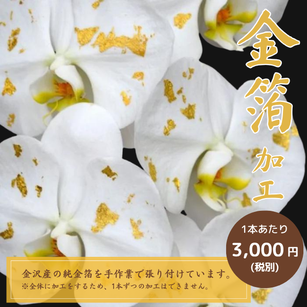 եĳ Ŀ(֥롼) 7Ω 6370ذʾ墨դ 10