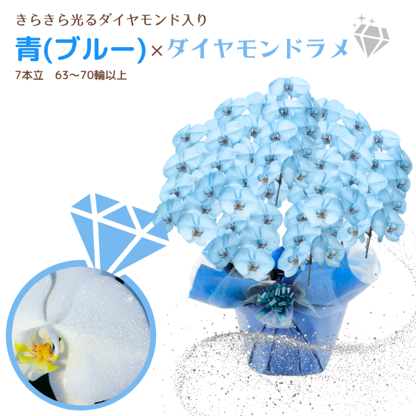 եĳ Ŀ(֥롼) 7Ω 6370ذʾ墨դ