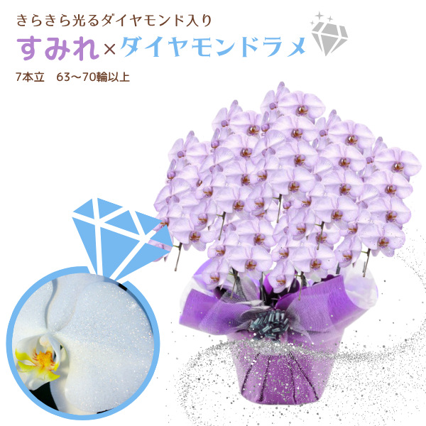 եĳ ߤ 7Ω 6370ذʾ墨դ