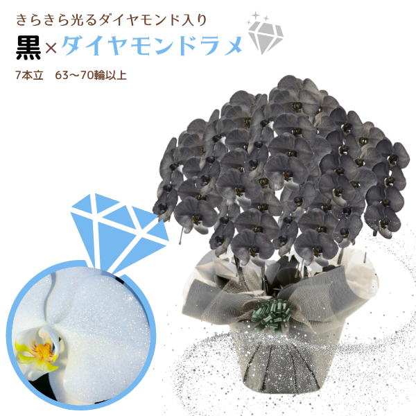 եĳ  7Ω 6370ذʾ墨դ