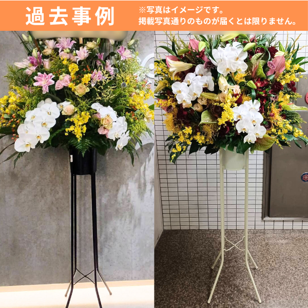 ĳꥹɲ 1 ޤ 3ߡʼ 3